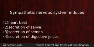 Sympathetic Nervous System Induces Biology Question