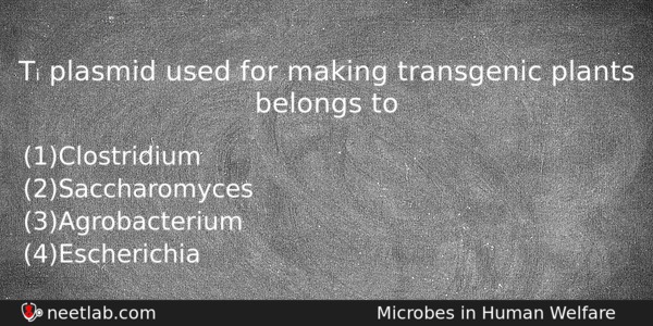 T Plasmid Used For Making Transgenic Plants Belongs To Biology Question 