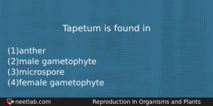 Tapetum Is Found In Biology Question