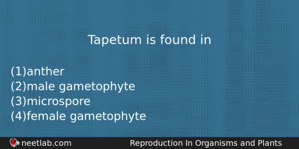 Tapetum Is Found In Biology Question 