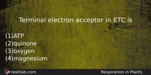 Terminal Electron Acceptor In Etc Is Biology Question