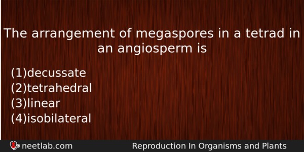 The Arrangement Of Megaspores In A Tetrad In An Angiosperm Biology Question 