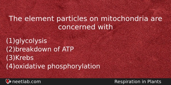 The Element Particles On Mitochondria Are Concerned With Biology Question 