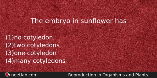 The Embryo In Sunflower Has Biology Question 