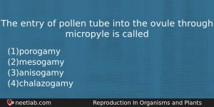The Entry Of Pollen Tube Into The Ovule Through Micropyle Biology Question