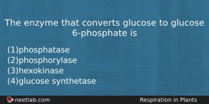 The Enzyme That Converts Glucose To Glucose 6phosphate Is Biology Question