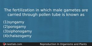 The Fertilization In Which Male Gametes Are Carried Through Pollen Biology Question