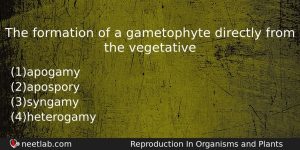 The Formation Of A Gametophyte Directly From The Vegetative Biology Question