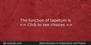 The Function Of Tapetum Is Biology Question