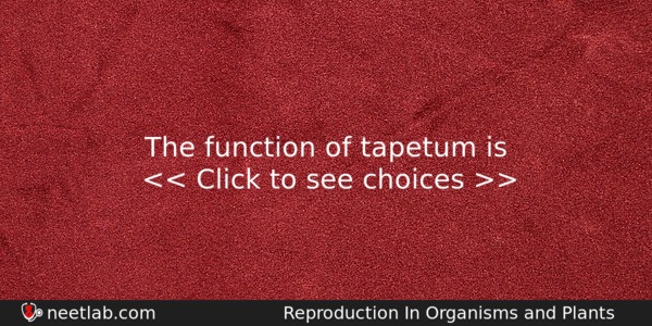 The Function Of Tapetum Is Biology Question 