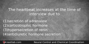 The Heartbeat Increases At The Time Of Interview Due To Biology Question
