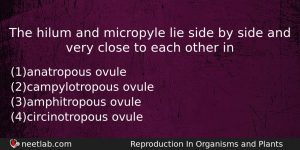 The Hilum And Micropyle Lie Side By Side And Very Biology Question