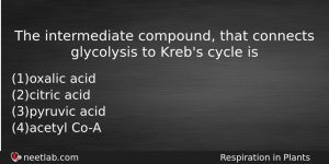 The Intermediate Compound That Connects Glycolysis To Krebs Cycle Is Biology Question