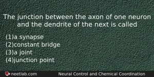 The Junction Between The Axon Of One Neuron And The Biology Question