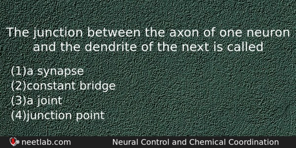 The Junction Between The Axon Of One Neuron And The Biology Question 