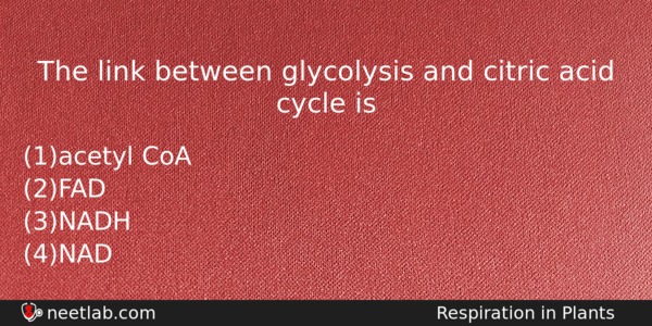 The Link Between Glycolysis And Citric Acid Cycle Is Biology Question 