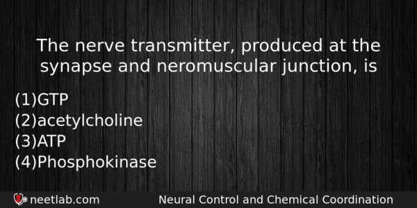 The Nerve Transmitter Produced At The Synapse And Neromuscular Junction Biology Question 