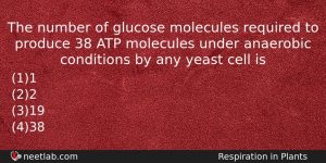 The Number Of Glucose Molecules Required To Produce 38 Atp Biology Question
