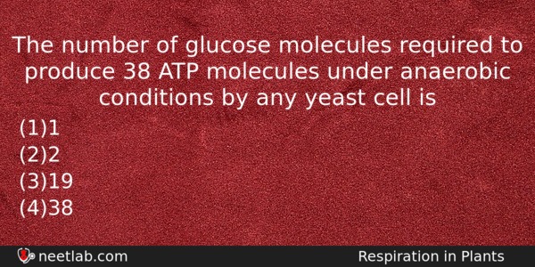 The Number Of Glucose Molecules Required To Produce 38 Atp Biology Question 