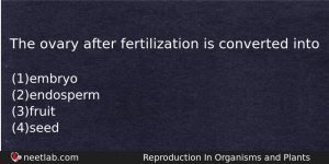 The Ovary After Fertilization Is Converted Into Biology Question