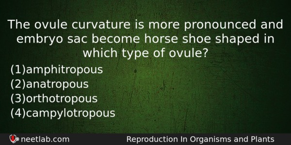 The Ovule Curvature Is More Pronounced And Embryo Sac Become Biology Question 