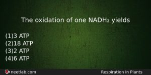 The Oxidation Of One Nadh Yields Biology Question