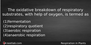 The Oxidative Breakdown Of Respiratory Substrates With Help Of Oxygen Biology Question