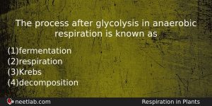 The Process After Glycolysis In Anaerobic Respiration Is Known As Biology Question