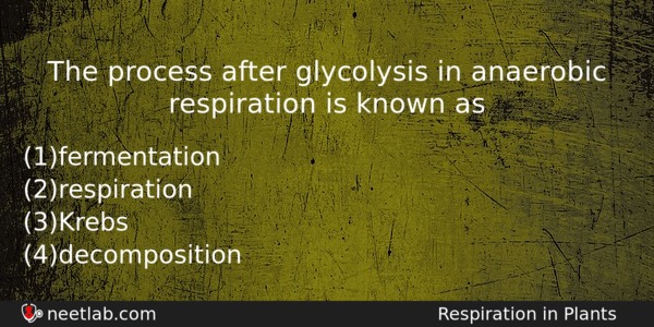 The Process After Glycolysis In Anaerobic Respiration Is Known As Biology Question 