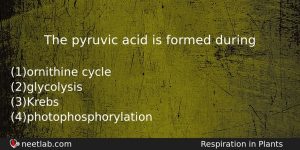 The Pyruvic Acid Is Formed During Biology Question