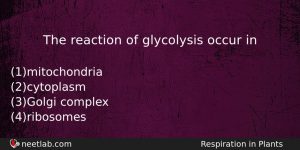 The Reaction Of Glycolysis Occur In Biology Question