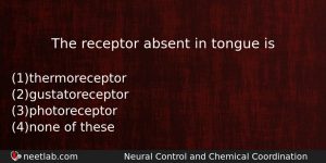 The Receptor Absent In Tongue Is Biology Question