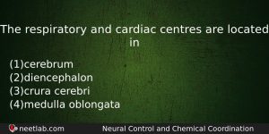 The Respiratory And Cardiac Centres Are Located In Biology Question