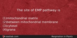 The Site Of Emp Pathway Is Biology Question