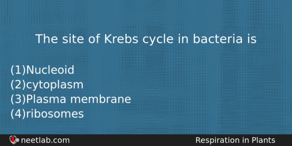 The Site Of Krebs Cycle In Bacteria Is Biology Question 