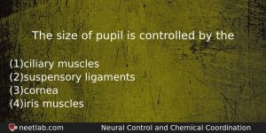 The Size Of Pupil Is Controlled By The Biology Question