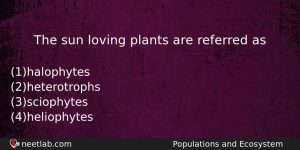 The Sun Loving Plants Are Referred As Biology Question