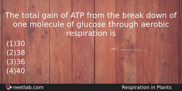 The Total Gain Of Atp From The Break Down Of Biology Question 