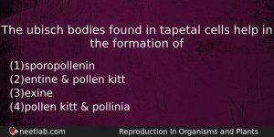 The Ubisch Bodies Found In Tapetal Cells Help In The Biology Question