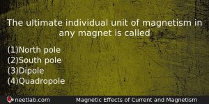 The Ultimate Individual Unit Of Magnetism In Any Magnet Is Physics Question