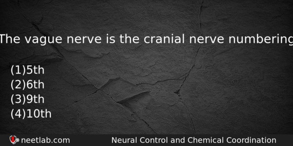 The Vague Nerve Is The Cranial Nerve Numbering Biology Question 