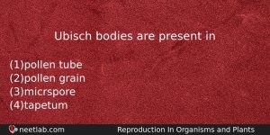 Ubisch Bodies Are Present In Biology Question