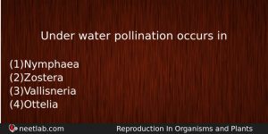 Under Water Pollination Occurs In Biology Question