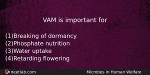Vam Is Important For Biology Question