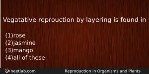 Vegatative Reprouction By Layering Is Found In Biology Question