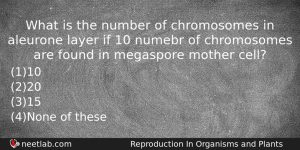 What Is The Number Of Chromosomes In Aleurone Layer If Biology Question