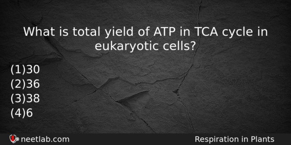 What Is Total Yield Of Atp In Tca Cycle In Biology Question 