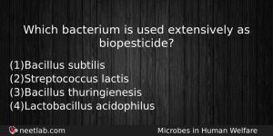 Which Bacterium Is Used Extensively As Biopesticide Biology Question