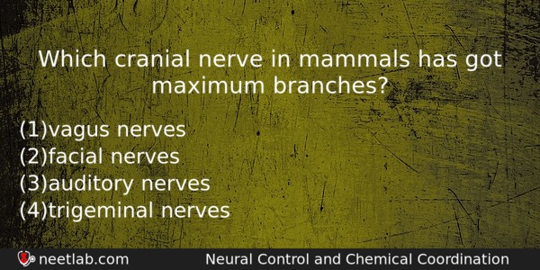 Which Cranial Nerve In Mammals Has Got Maximum Branches Biology Question 