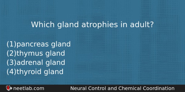 Which Gland Atrophies In Adult Biology Question 